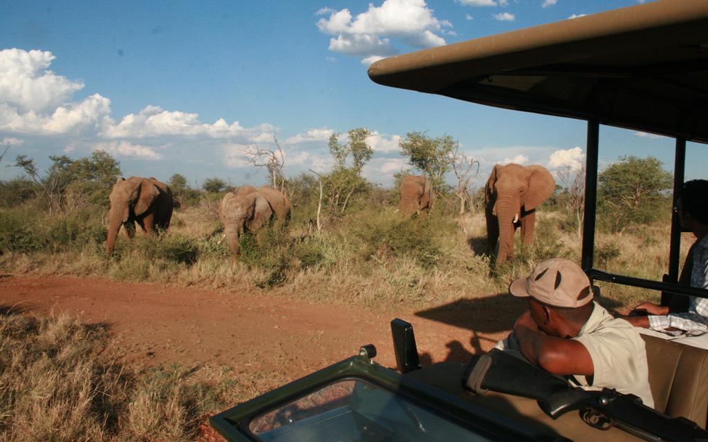 Etali Safari Lodge Madikwe Vadrezervátum Kültér fotó
