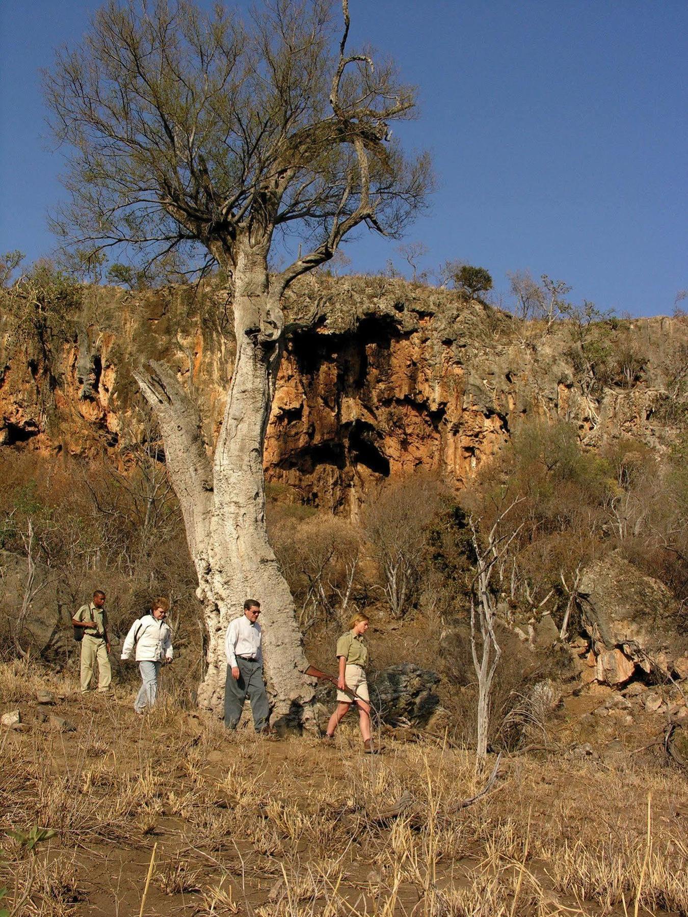 Etali Safari Lodge Madikwe Vadrezervátum Kültér fotó