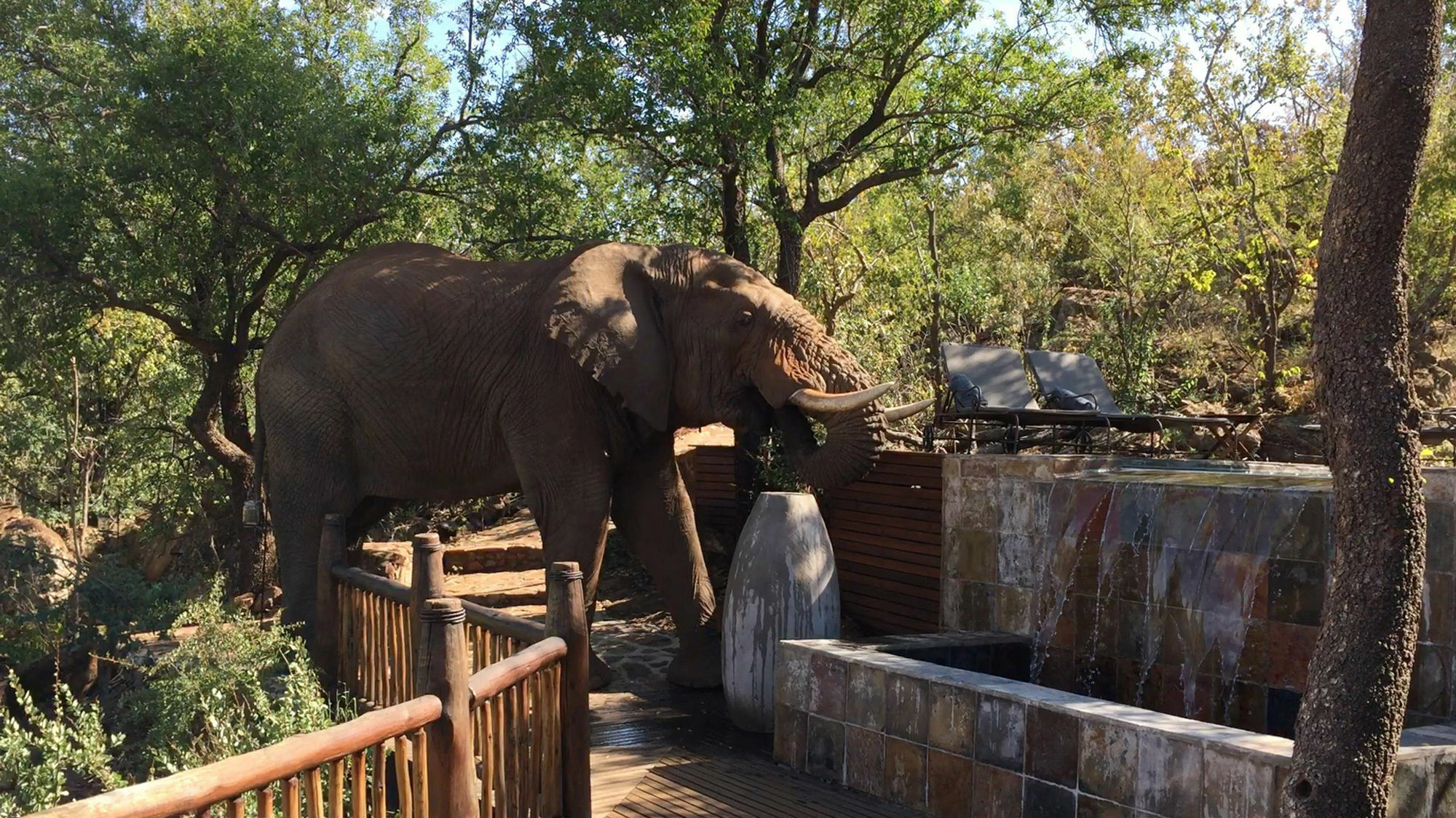 Etali Safari Lodge Madikwe Vadrezervátum Kültér fotó
